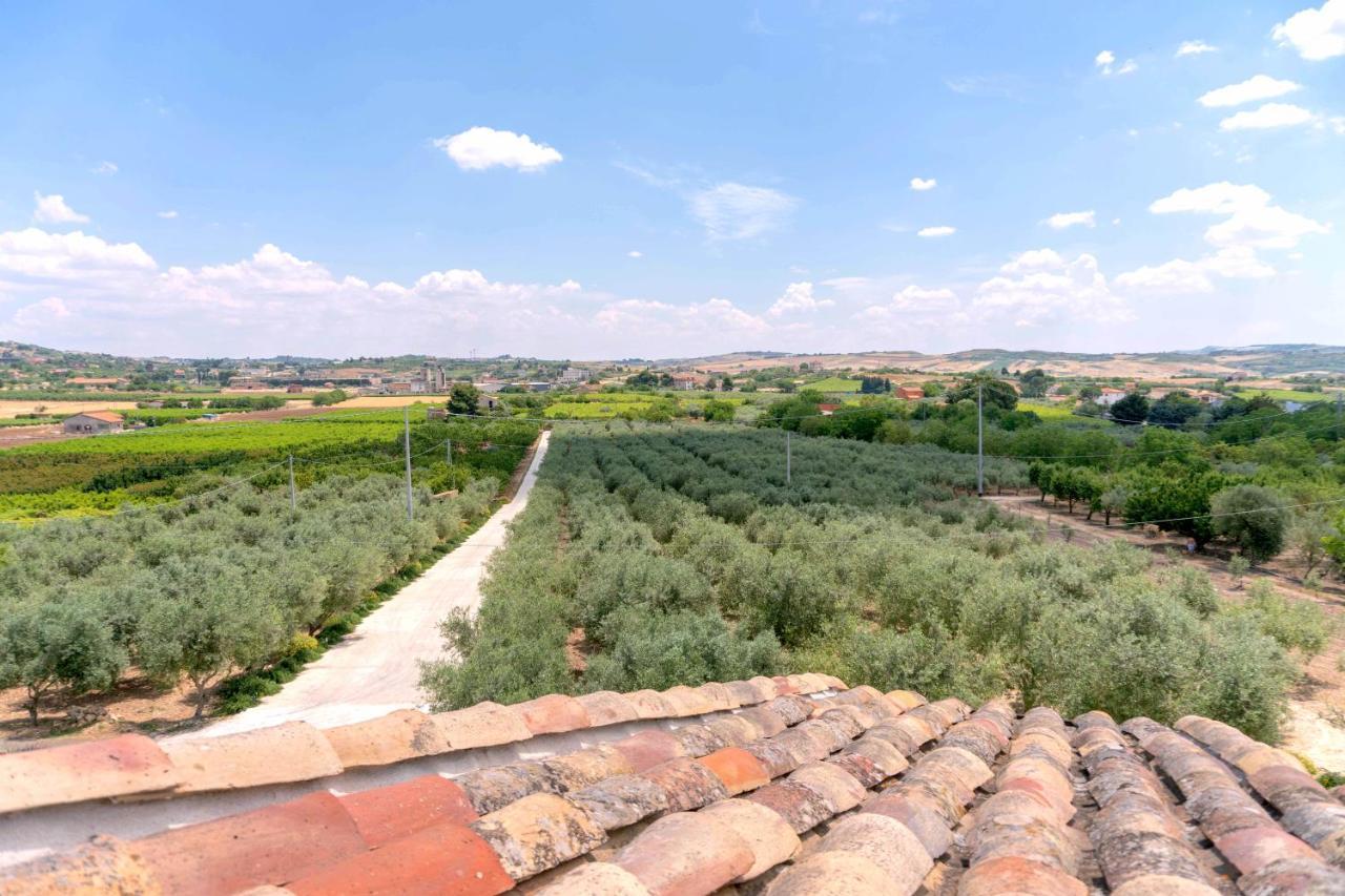 Oikos In Terre Di Zaccanello Farm stay *