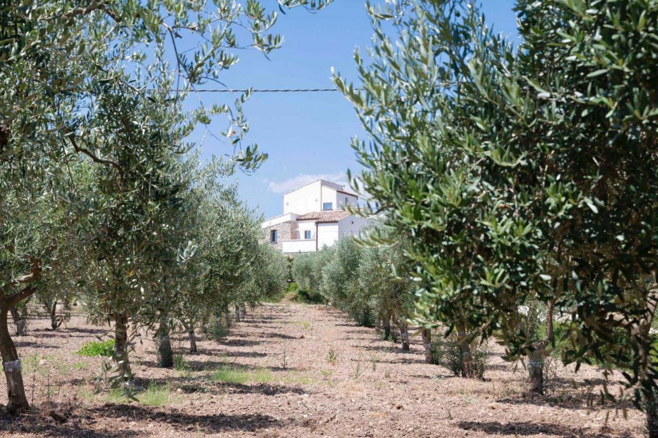 Farm stay Oikos In Terre Di Zaccanello