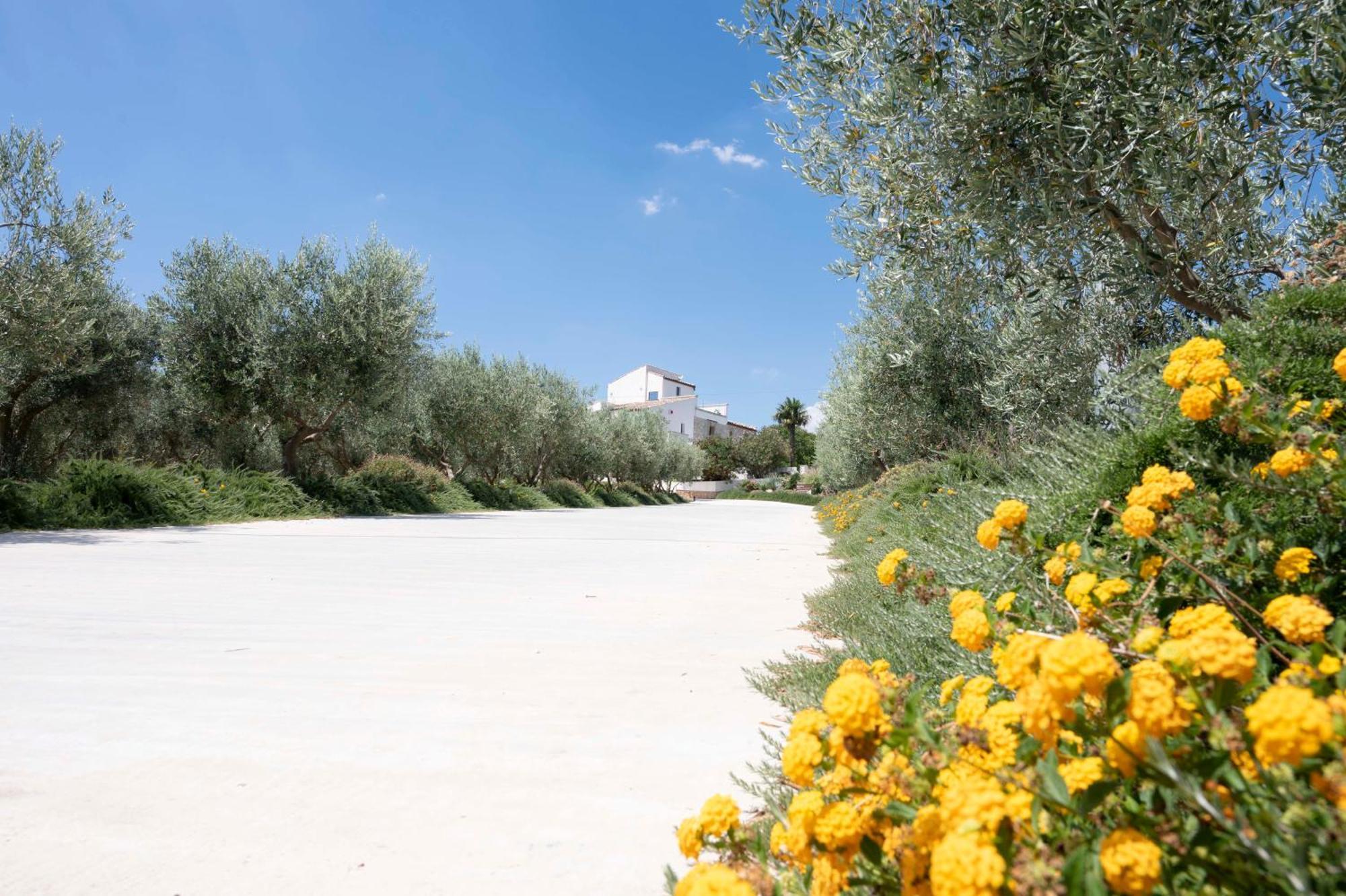 Oikos In Terre Di Zaccanello Farm stay