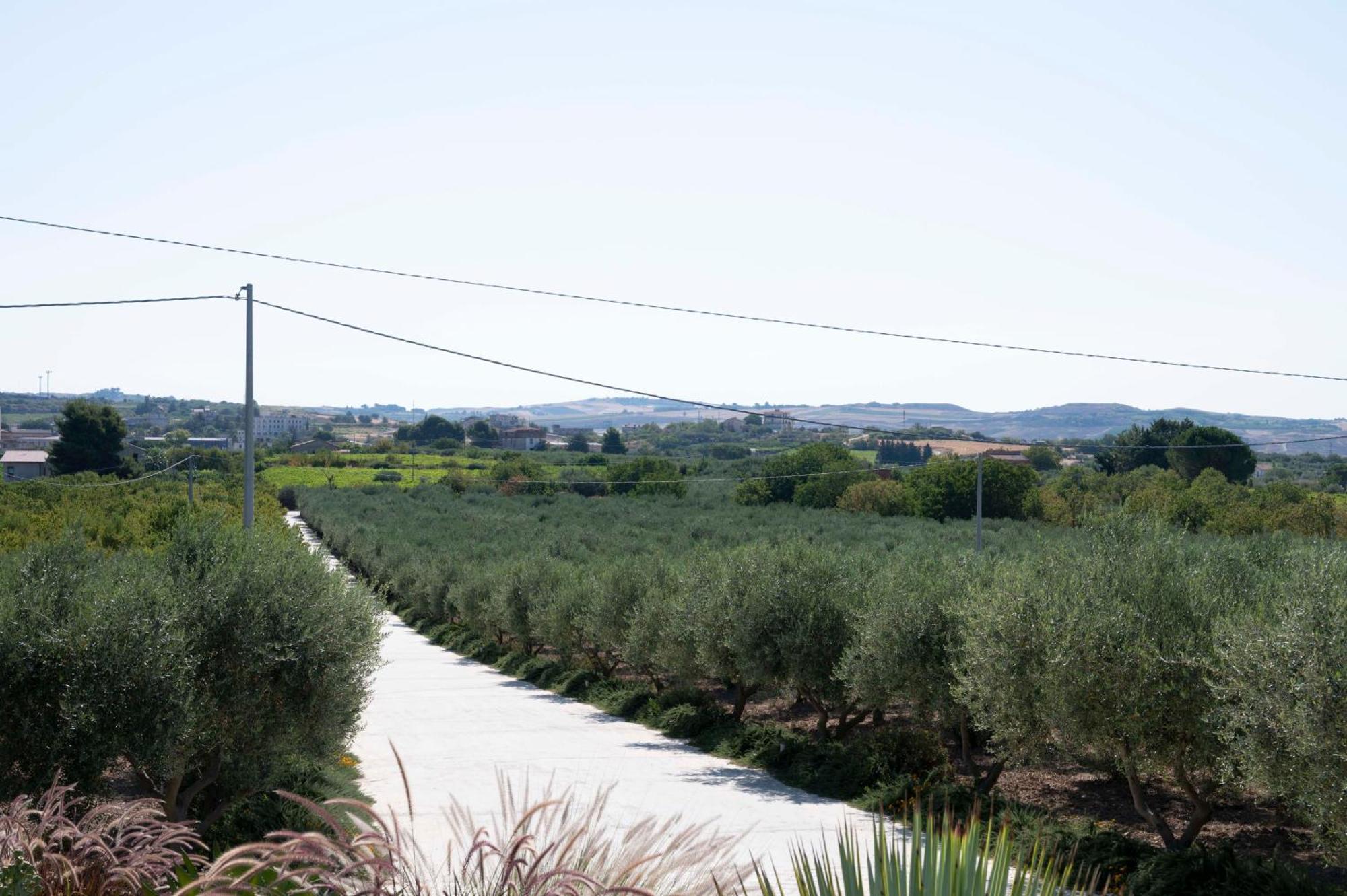 Oikos In Terre Di Zaccanello *